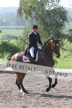 135676_sg_01_IMG_7609.JPG