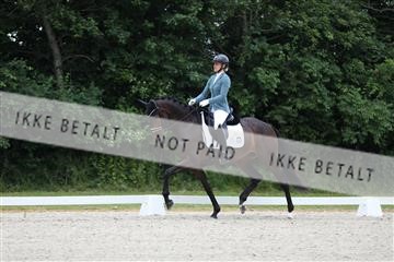 172073_mtp_01_3M5A2818.JPG