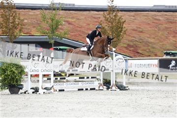 181922_avh_02_1380.JPG