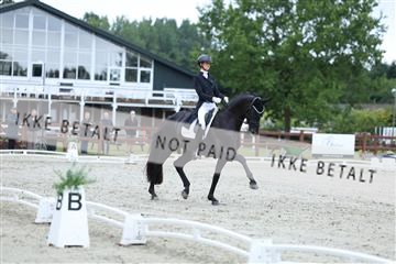 181923_mtp_01_R62_6579.JPG
