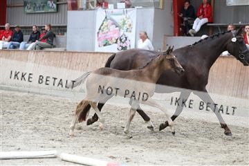 181868_mtp_03_R62_6231.JPG