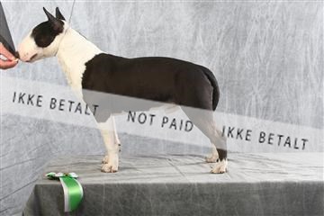 129608_le_ 02_0272.JPG