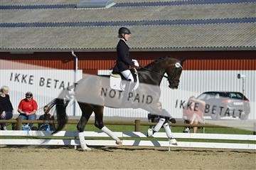 136195_abo_01__AB16764.JPG