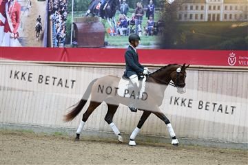 181887_mtp_04_R62_8408.JPG