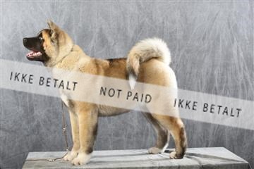 129608_le_ 01_0698.JPG