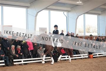 179022_kbb_01_R6II2530.JPG