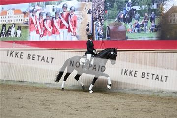 181887_mtp_02_R62_7633.JPG