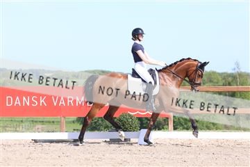 181449_bc_01R62_5909.JPG