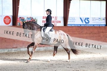 175442_kbb_01_R6II0249.JPG