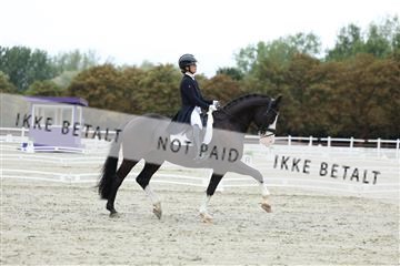 181923_mtp_01_R62_6776.JPG