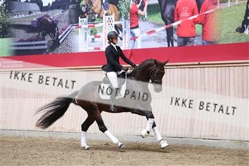175166_kbb_01_R6II0254.JPG