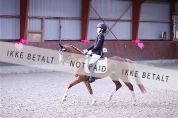 173883_mtp_01_3M5A0560.JPG