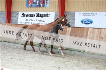 181868_mtp_03_R62_5802.JPG