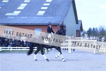 174513_jss_01_R6II8098.JPG
