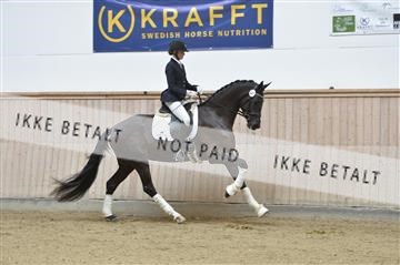 160111_nn_01__ESK1944.JPG