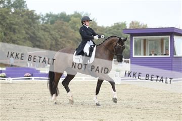 181923_mtp_04_R62_8327.JPG