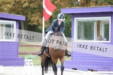 181923_mtp_04_R62_8723.JPG