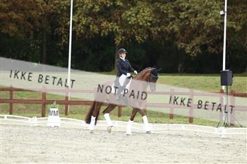 181923_mtp_03_R62_7932.JPG