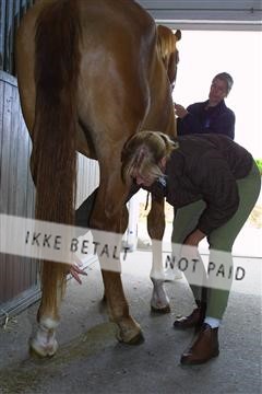 1257_04_100-0010_IMG.JPG