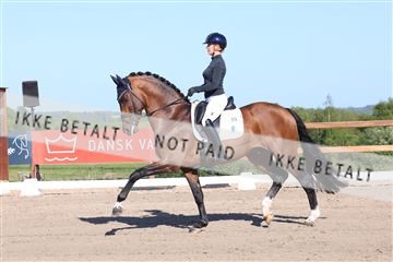 181449_bc_01R62_6195.JPG
