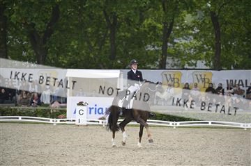 181449_kbb_04_Z094160.JPG