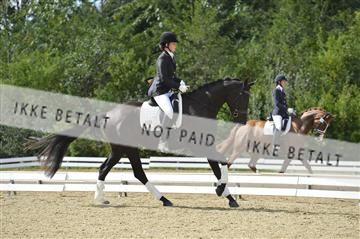 136195_abo_01__AB15952.JPG