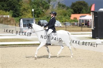 181894_mtp_05_R62_4106.JPG
