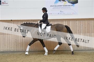 160111_nn_01__ESK1532.JPG