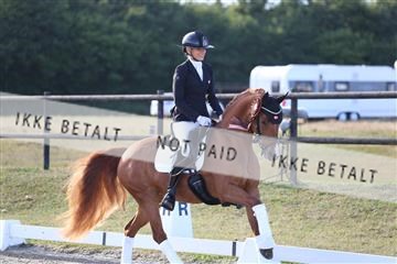 181894_mtp_05_R62_5919.JPG