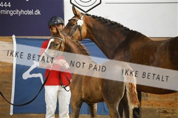 181802_jss_01__6II5891.JPG