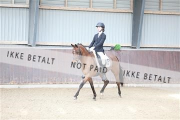 174313_mtp_01_3M5A5747.JPG