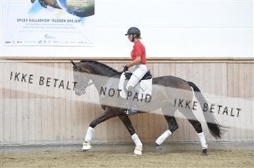 160111_nn_01__ESK1900.JPG