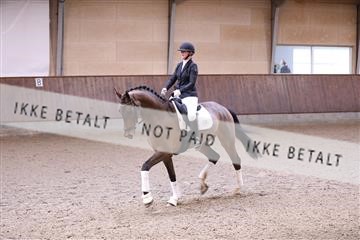 173821_mtp_01_3M5A8545.JPG
