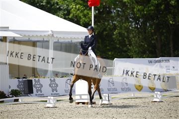 181449_kbb_02_6II0125.JPG