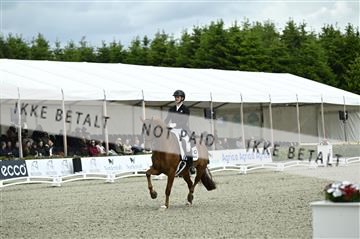 181449_kbb_03_Z090978.JPG
