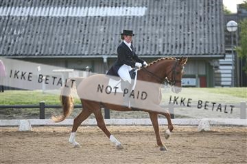 147698_nn_01_IMG_0887.JPG