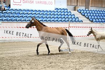 181754_kbb_01_Z093338.JPG