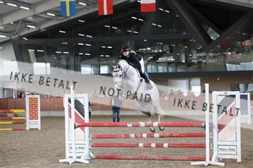 181804_mlm_01_R62_8983.JPG