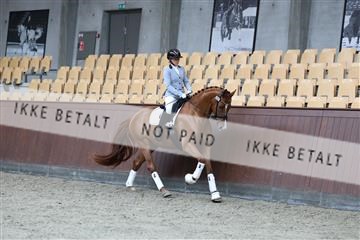 181852_mtp_02_R62_1712.JPG