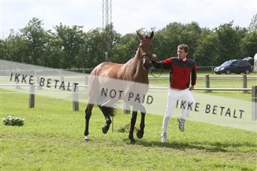 135518_ms_02_IMG_3003.JPG