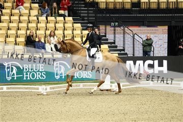 178838_mtp_04_0E6A4108.JPG