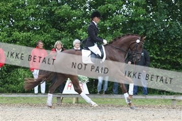 135518_ms_01_IMG_0835.JPG