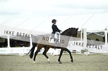 181449_kbb_03_Z091685.JPG