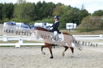 181894_mtp_05_R62_5318.JPG