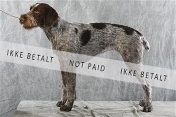 129608_le_ 02_0243.JPG