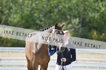 136195_abo_01__AB16302.JPG