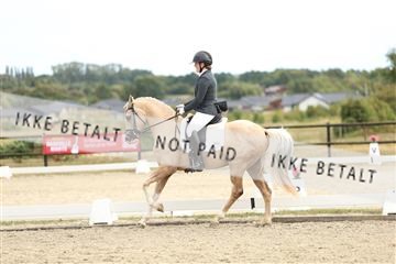 181894_mtp_03_R62_2701.JPG