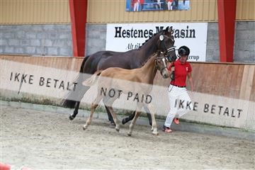181868_mtp_03_R62_6312.JPG