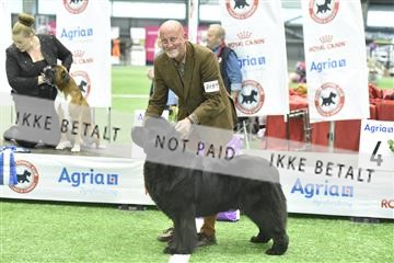 163793_bkn_01__BKN8896.JPG