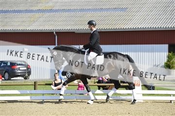 136195_abo_01__AB16320.JPG